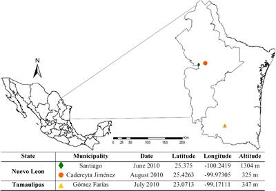 Molecular Detection of Bartonella sp. in Psathyromyia shannoni and Lutzomyia cruciata From Northeastern Mexico